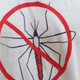 Murderous mosquito.